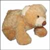 Big Browny Bear PNP - 5007 - Click here to View more details about this Product